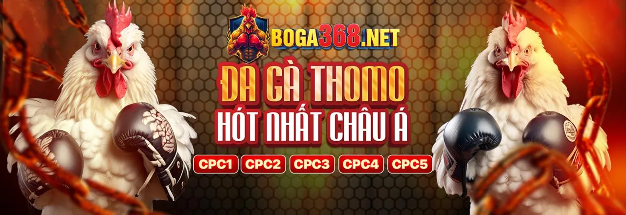 trường gà savan trực tiếp hôm nay